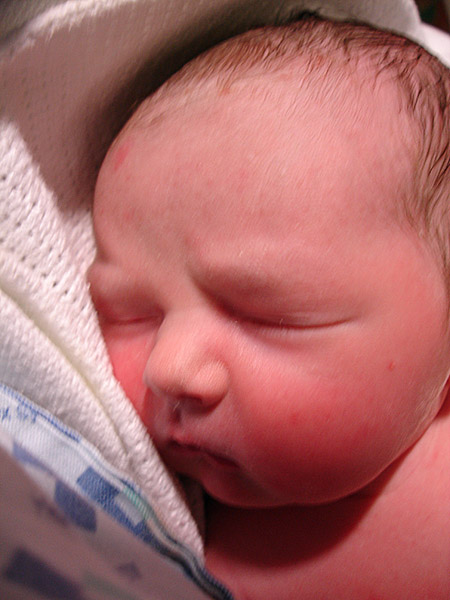 The Little Herbert